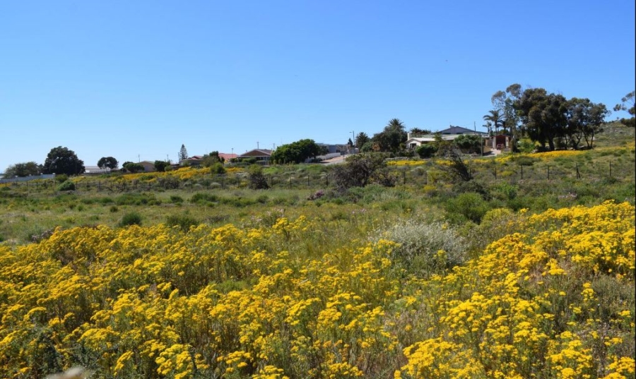 3 Bedroom Property for Sale in St Helena Views Western Cape